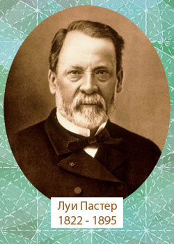 Луи Пастер - французский микробиолог - 1822-1895